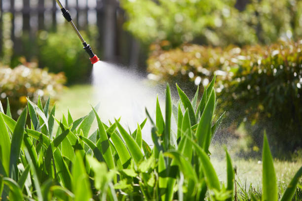 24/7 Emergency Mosquito Control experts in Long Branch, VA