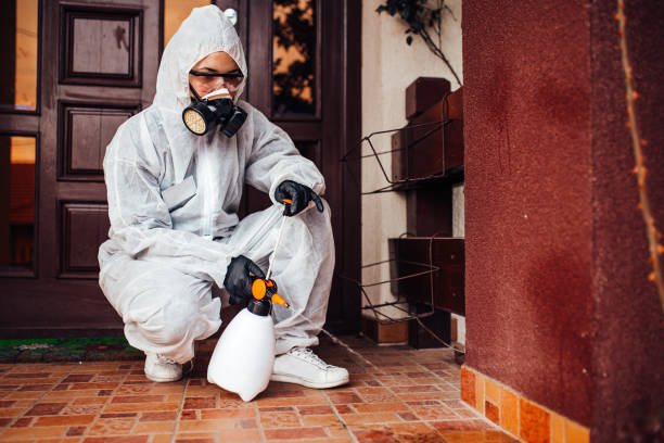 Reliable Mosquito Control contractor in Long Branch, VA by Show Me Pest Control