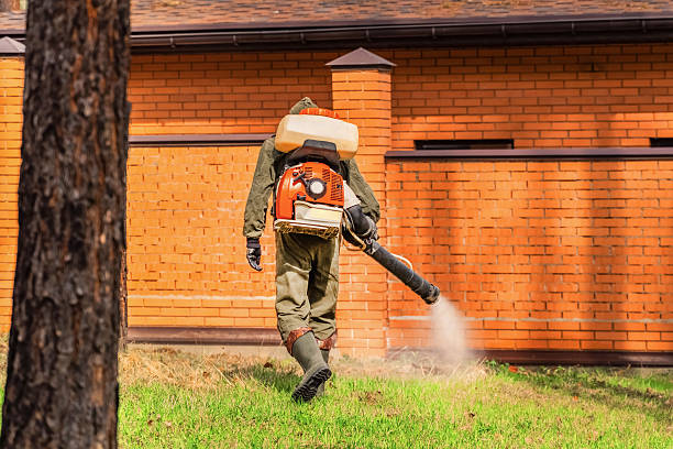 Top rated local Mosquito Control specialists in Long Branch, VA